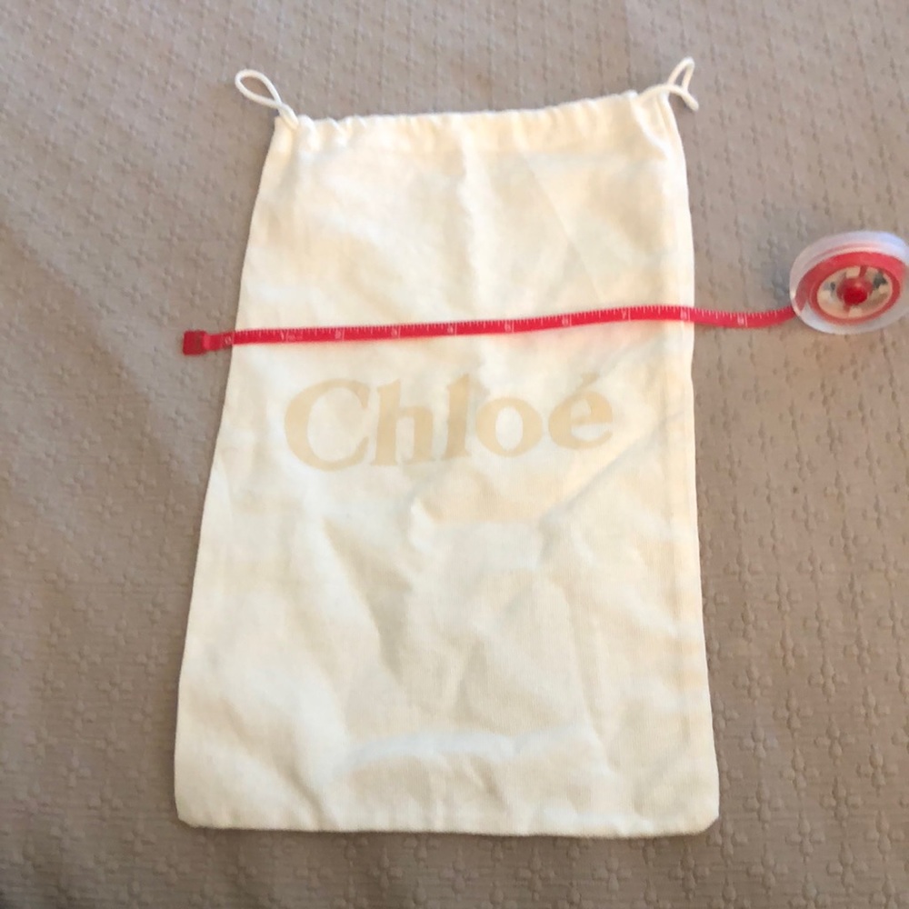 Chloe dust bag 8x14
